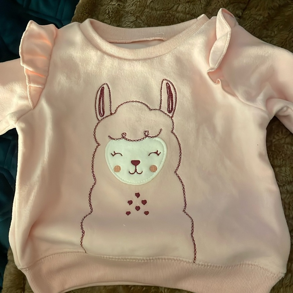 Llama sweater